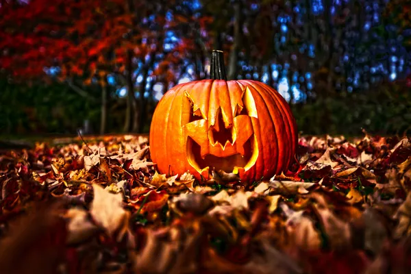 Zucca di Halloween — Foto Stock