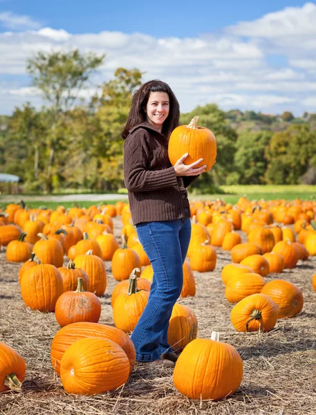 Pumpkins — Stock Photo, Image