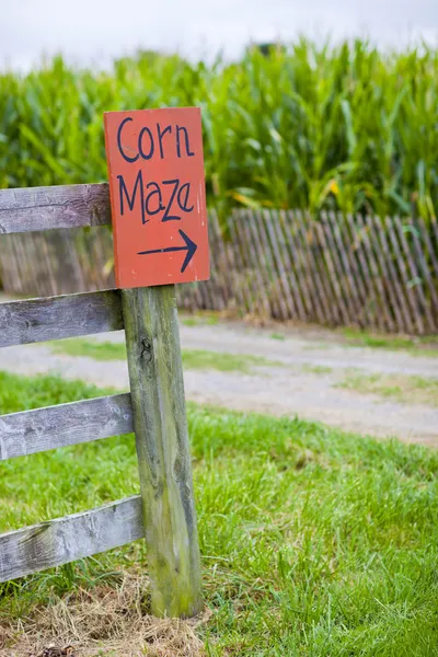 Laberinto de maíz — Foto de Stock