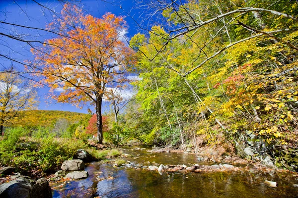 Fall stream — Stock Photo, Image