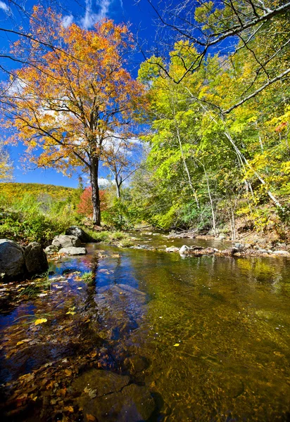 Fall River — Stockfoto