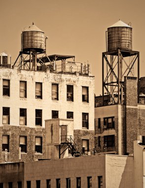 New york daireler