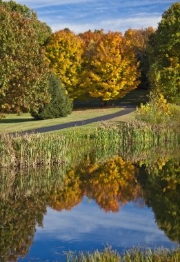 sonbahar yaprakları