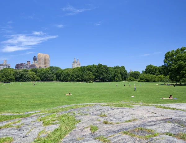 Central park — Stock Photo, Image