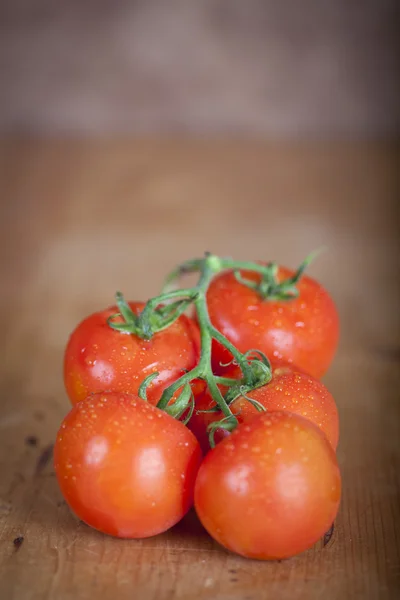 Tomaten — Stockfoto