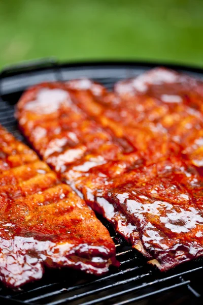 Bbq Rippen — Stockfoto