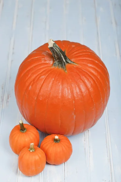 Calabazas — Foto de Stock