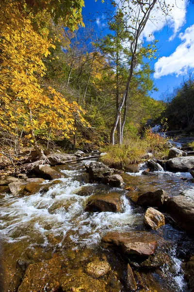 Fiume d'autunno — Foto Stock