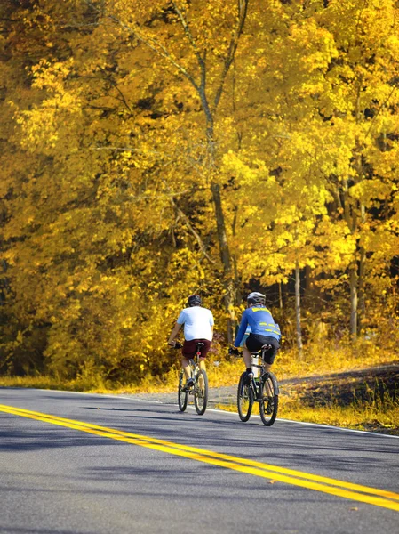 Ciclistas — Fotografia de Stock