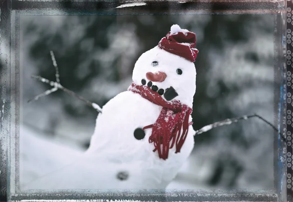 Bonhomme de neige — Photo