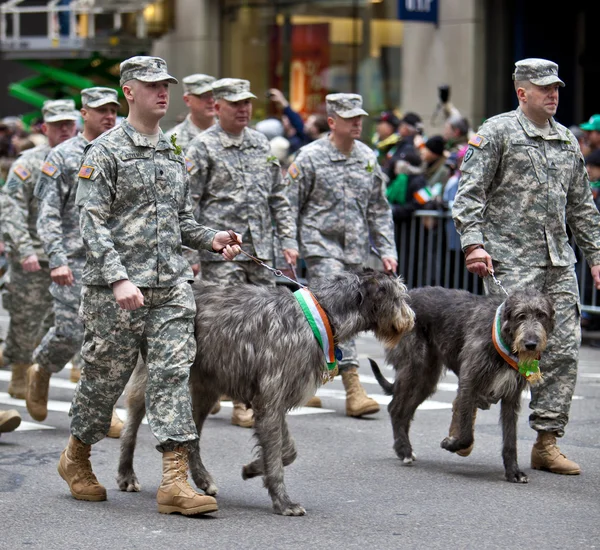 St Patrick's Day Parade — Stockfoto