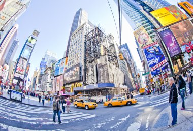 YENİ YORK