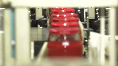 Sebzelerin İşlenmesi İçin Otomatik Çizgi