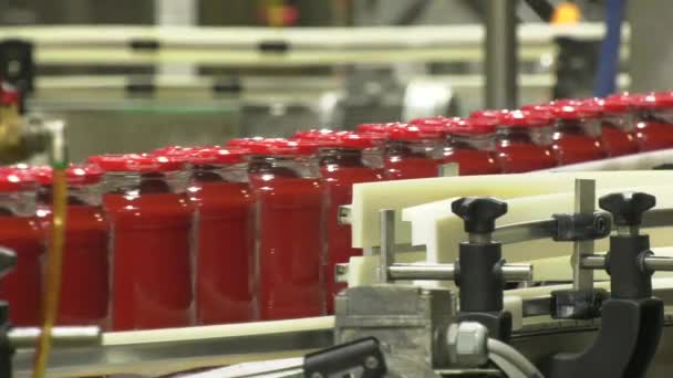 Linha automática para processamento de produtos hortícolas — Vídeo de Stock