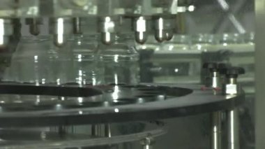 Sebzelerin İşlenmesi İçin Otomatik Çizgi