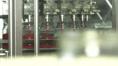 Sebzelerin İşlenmesi İçin Otomatik Çizgi