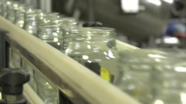 Sebzelerin İşlenmesi İçin Otomatik Çizgi