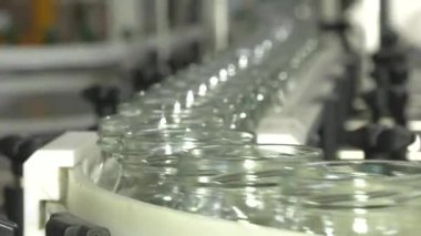 Sebzelerin İşlenmesi İçin Otomatik Çizgi