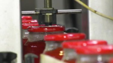 Sebzelerin İşlenmesi İçin Otomatik Çizgi