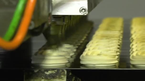 Производственная линия выпечки печенья — стоковое видео