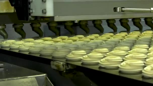 Baris produksi kue — Stok Video