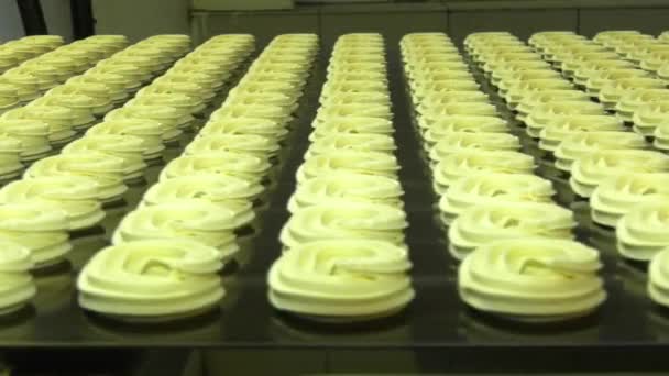 Línea de producción de galletas para hornear — Vídeo de stock