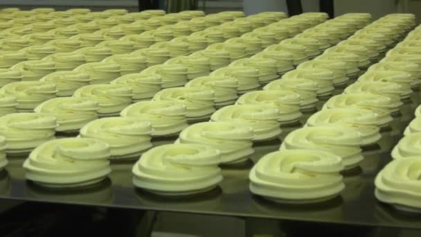 クッキーの生産ライン ロイヤリティフリーストック映像