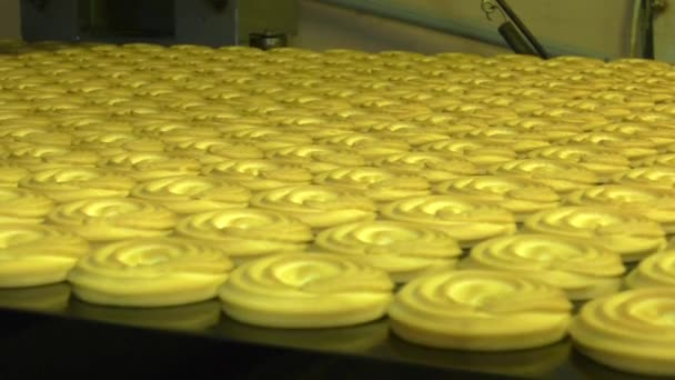 Línea de producción de galletas para hornear — Vídeo de stock