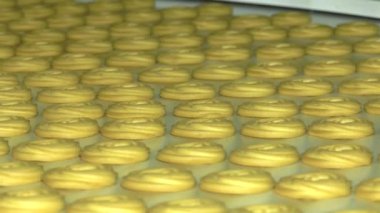 Kurabiye Pişirme üretim hattı