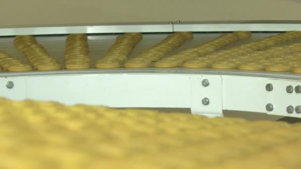 烘烤饼干生产流水线 — 图库视频影像