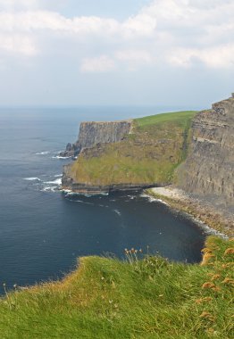 Moher Kayalıkları