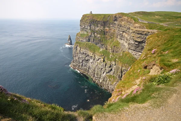 Klipporna i Moher — Stockfoto