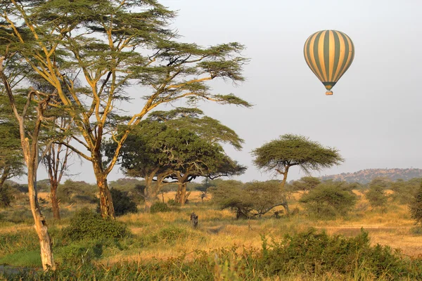 Voando balão verde e amarelo voando sobre a savana — Fotografia de Stock