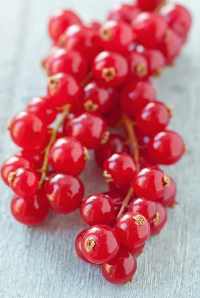 Rote Johannisbeeren — Stockfoto