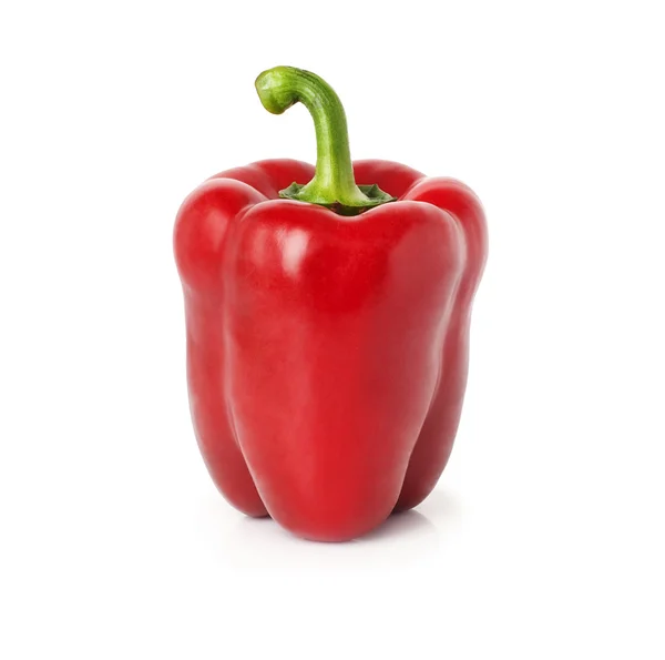 Röd paprika — Stockfoto