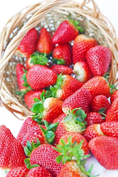 Fraises — Photo