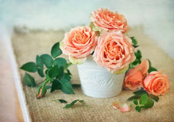 新鮮なバラ — ストック写真