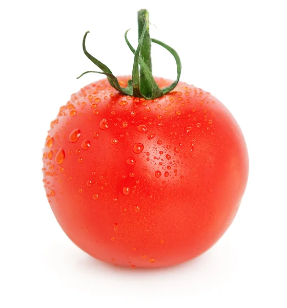 Tomate maduro — Fotografia de Stock