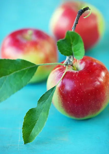 Fresh apples — Stock Photo, Image