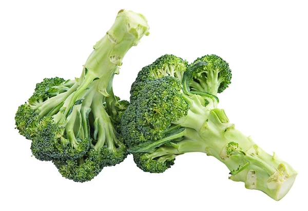 Broccolo — Foto Stock