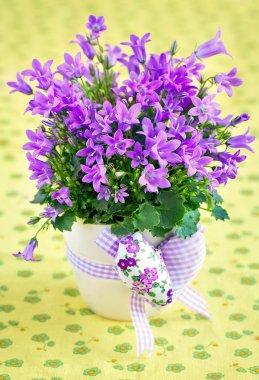 çan çiçeği çiçek