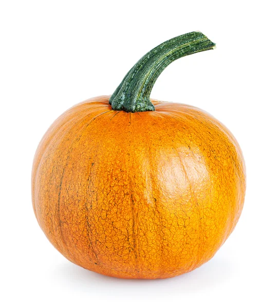 Calabaza amarilla grande —  Fotos de Stock