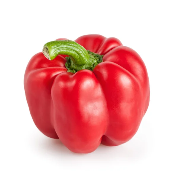 Ljust röd paprika isolerad på vit. — Stockfoto