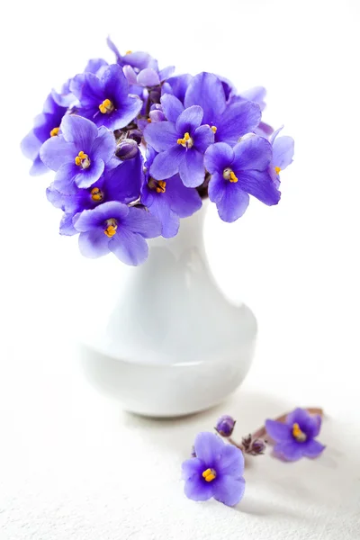Mor çiçekler — Stok fotoğraf