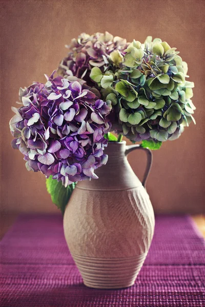 Flores de hortênsia — Fotografia de Stock