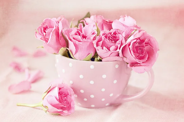 Hermosas rosas frescas — Foto de Stock
