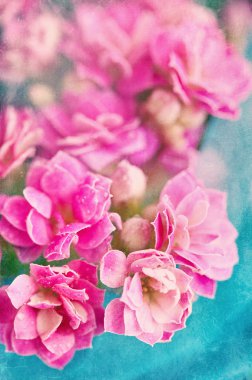 aranjmani çiçekler