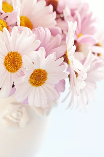 Flores de margarita — Foto de Stock