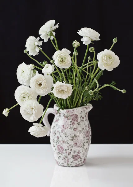 Ranunculus blommor — Stockfoto