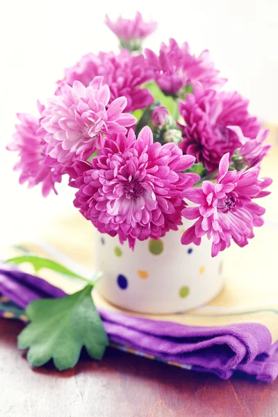 Chrysant bloemen — Stockfoto